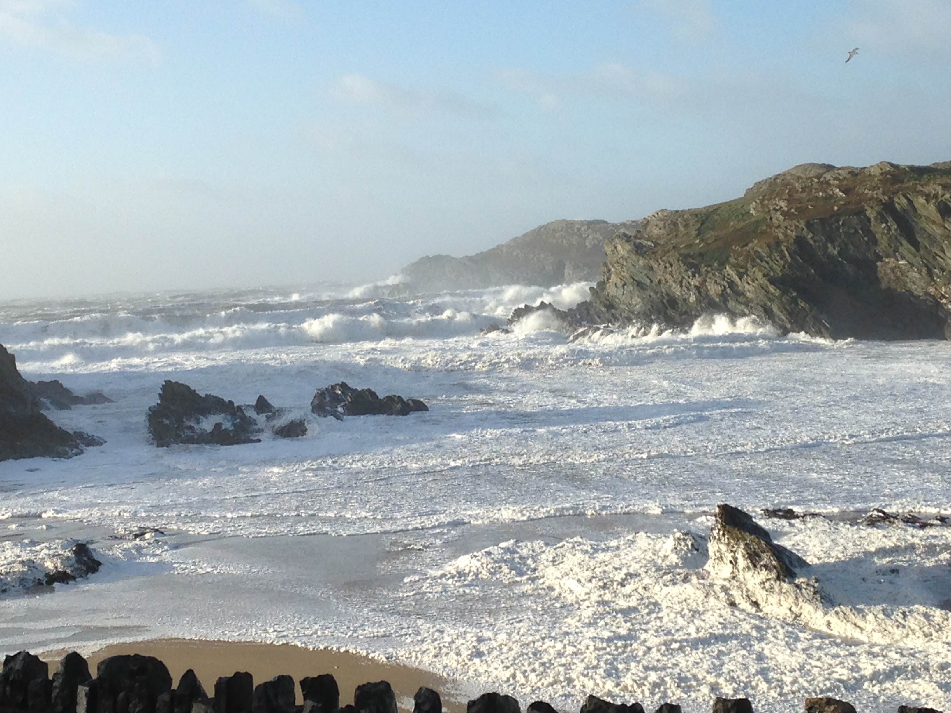 Trearddur Bay Shipping